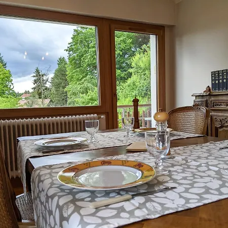 Le Vintage Grand 4 Etoiles Avec Jardin Proche Du Daire *