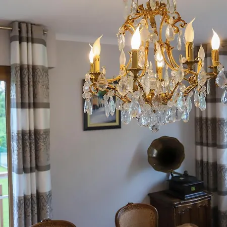 Daire Le Vintage Grand 4 Etoiles Avec Jardin Proche Du Annecy